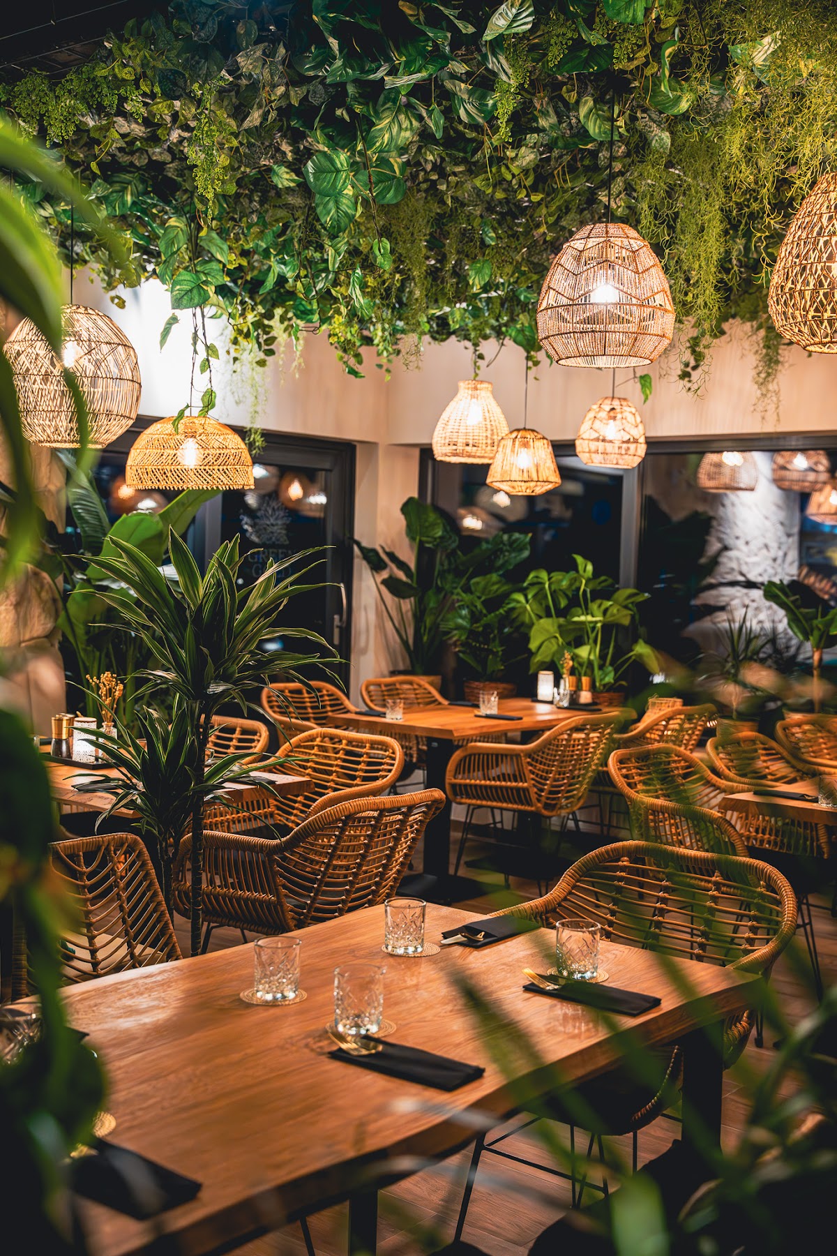 Green Gold Café