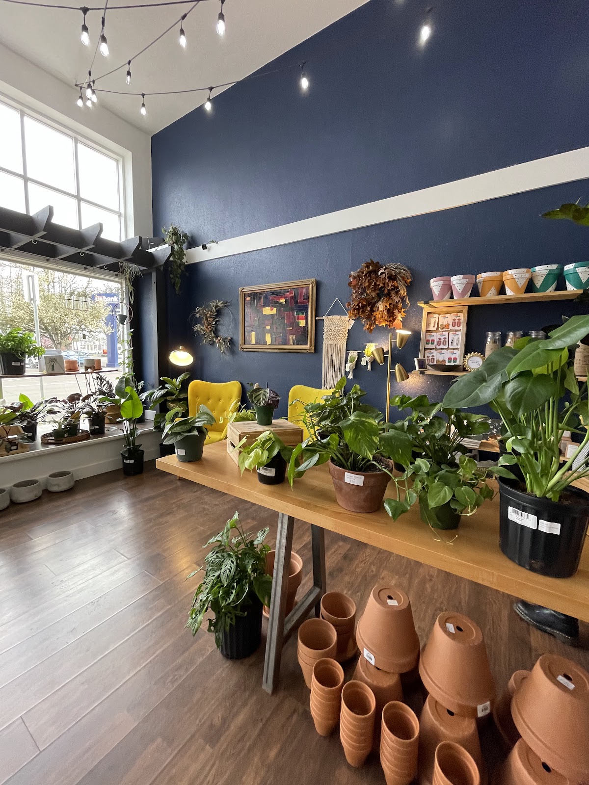 greenhouse coffee + plants