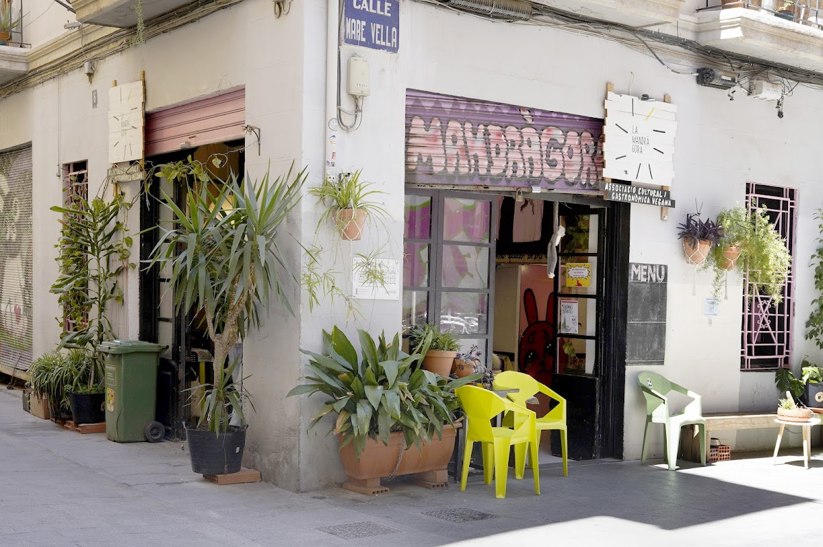 La Mandragora