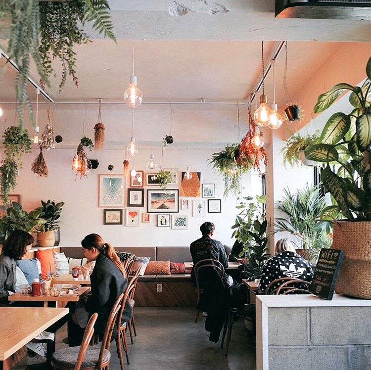 Plant Cafe & Kitchen - Itaewon