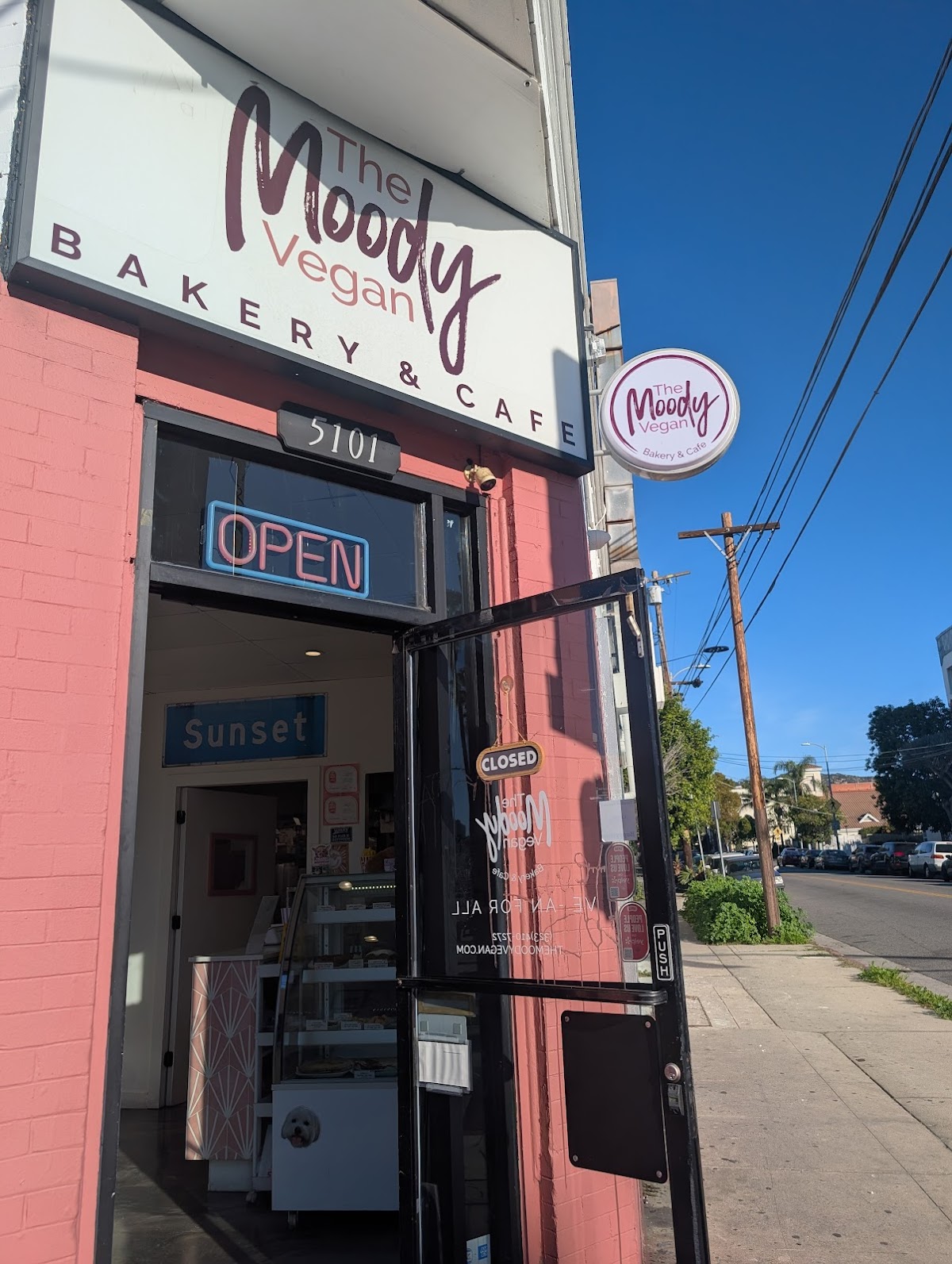The Moody Vegan