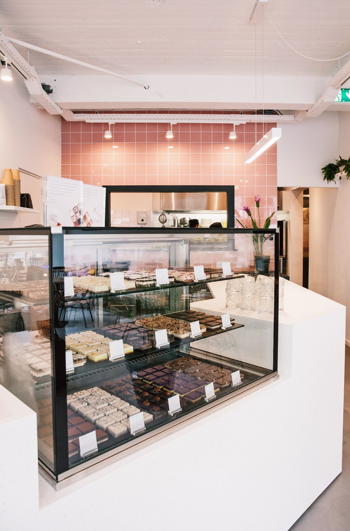 The SUE Store