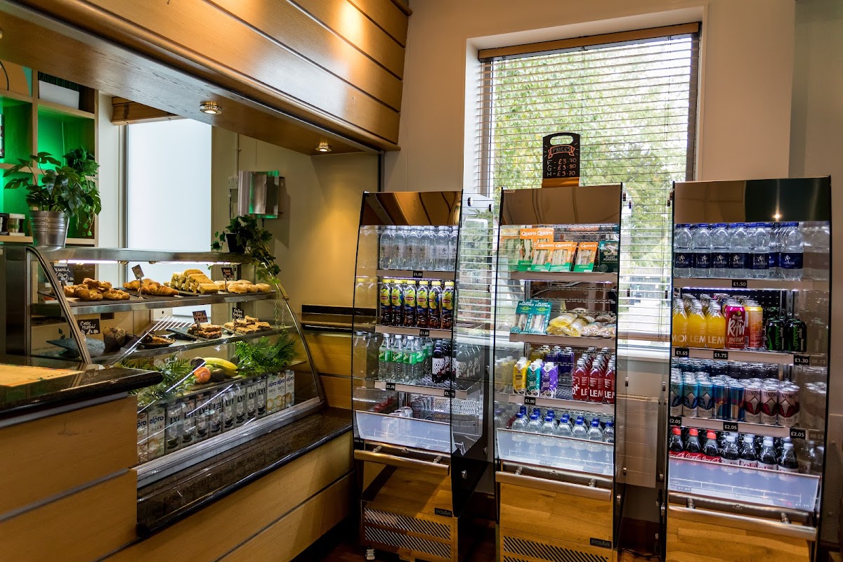 Wild Kitchen